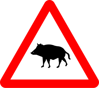 Señal P-24a — Paso de animales en libertad — jabalíes
